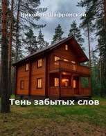Обложка произведения Тень забытых слов