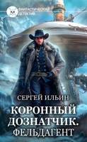 Обложка произведения Книга 4. Фельдагент