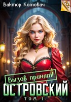Обложка произведения Островский. Вызов принят!