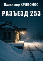 Обложка произведения Разъезд 253