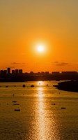 Обложка произведения Последний человек