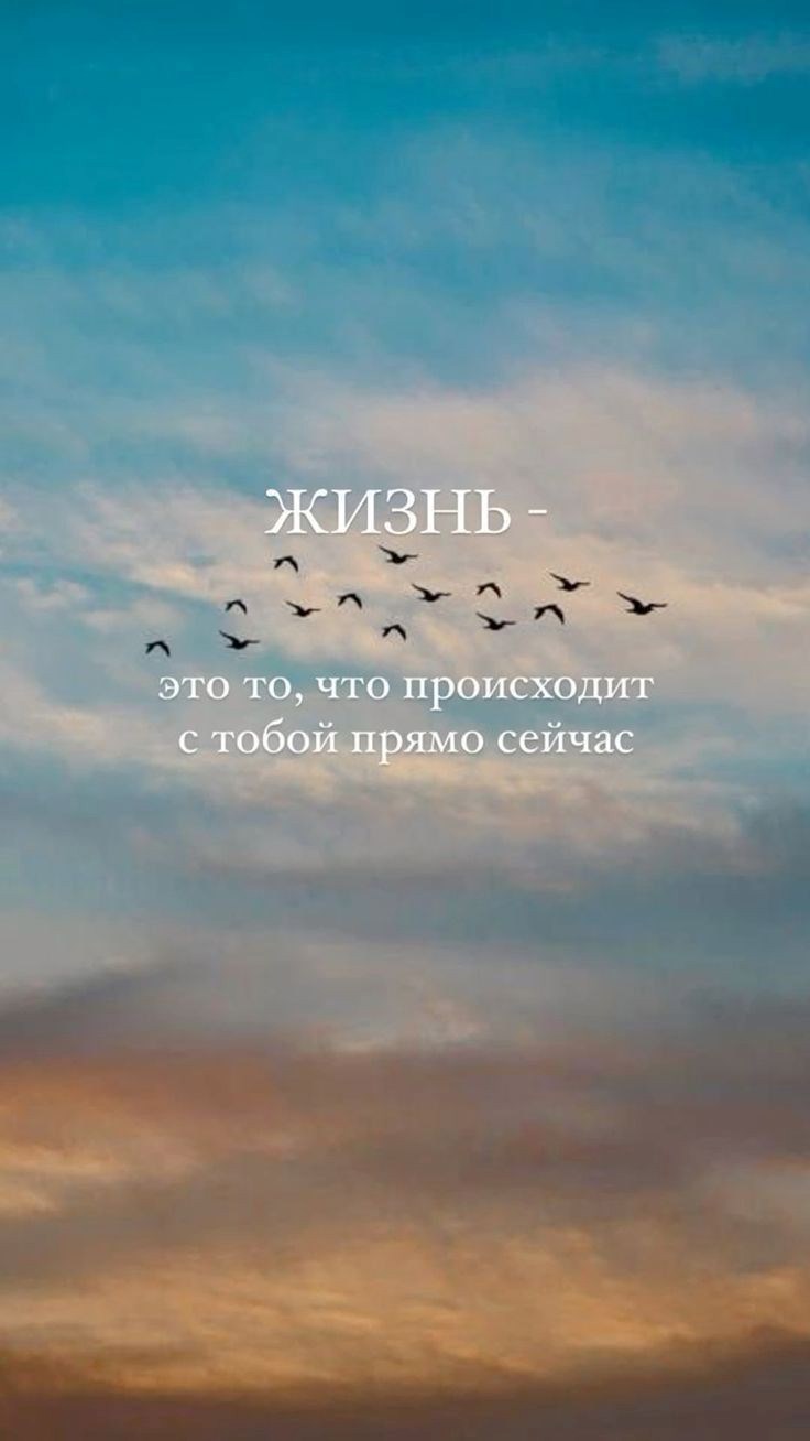 Обложка произведения Жаль . (Стихи -2023 года).