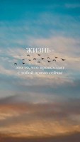 Обложка произведения Жаль . (Стихи -2023 года).