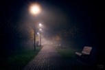 Обложка произведения Вечера