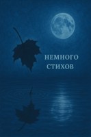 Обложка произведения немного стихов