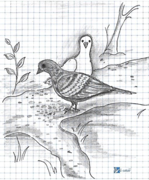 Иллюстрация