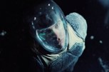 Обложка произведения Пилот