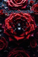 Обложка произведения Полуночник