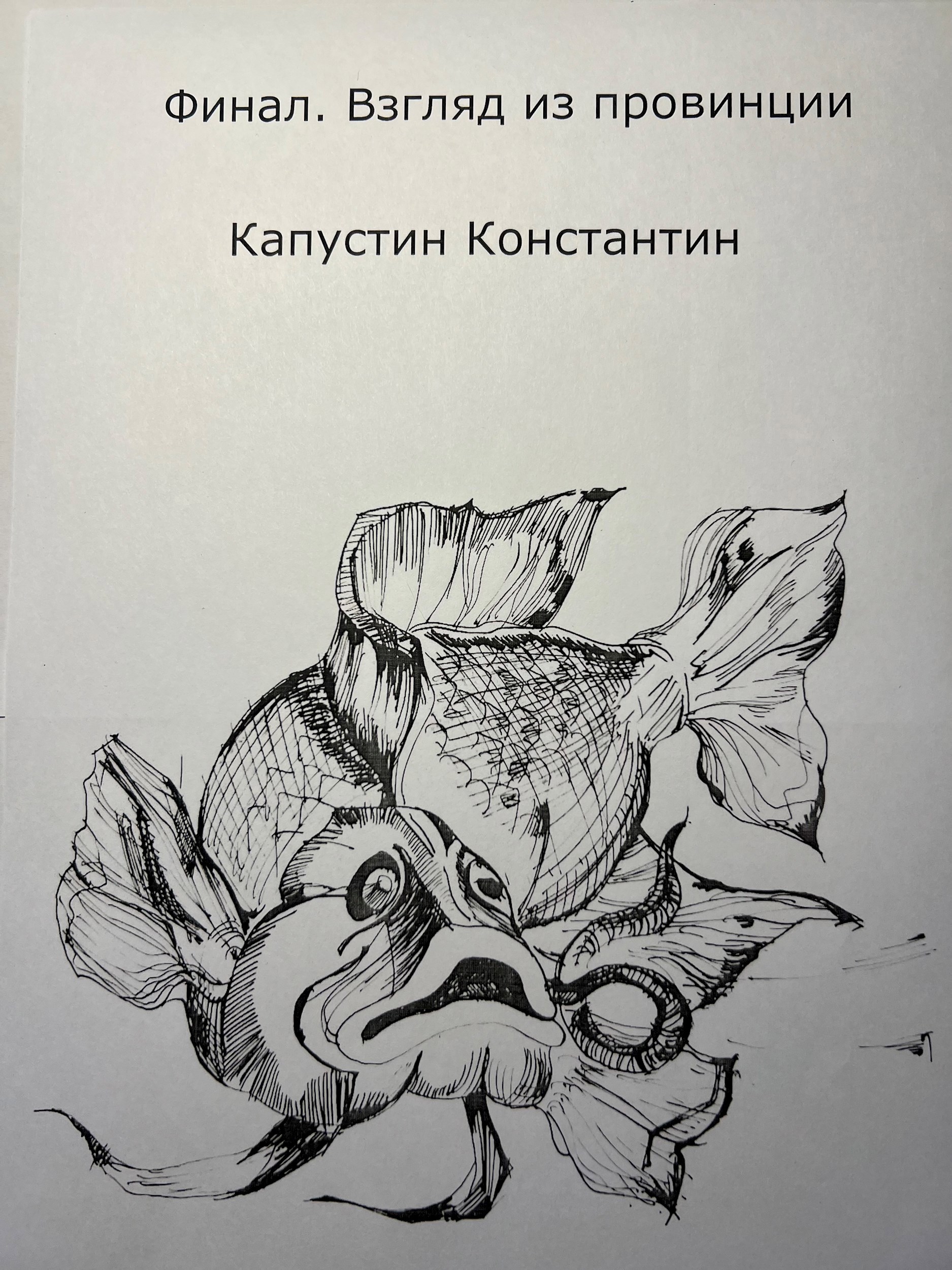 Обложка произведения Финал .взгляд из провинции
