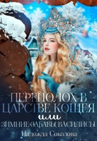 Обложка произведения Переполох в царстве Кощея, или Зимние забавы Василисы