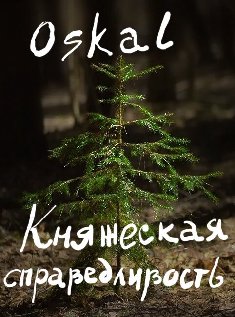 Обложка произведения Княжеская справедливость