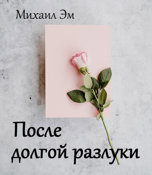 Обложка произведения После долгой разлуки