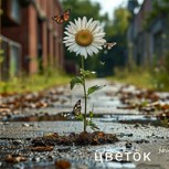 Обложка произведения "Цветок"