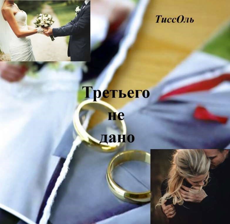 Обложка произведения Третьего не дано.
