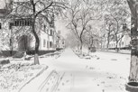 Обложка произведения Черно-белая жизнь