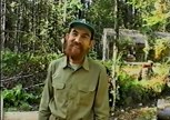 Обложка произведения Пионер