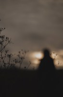 Обложка произведения Папочка, прости