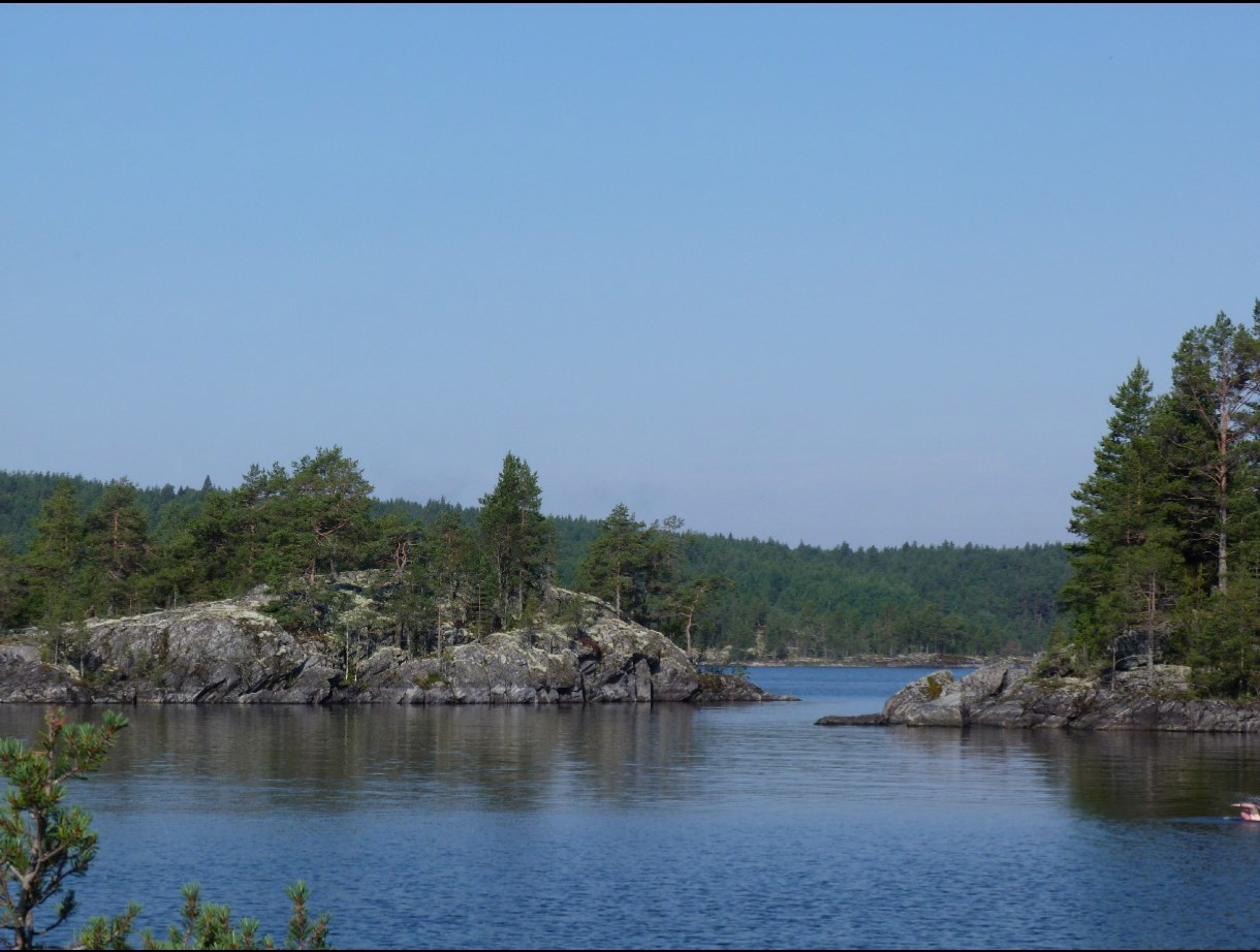 Обложка произведения Карельский дневник
