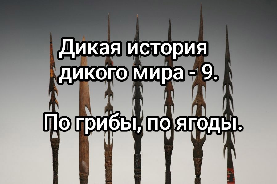 Обложка произведения Дикая история дикого мира-9. По грибы, по ягоды.