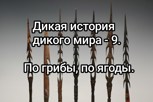 Обложка произведения Дикая история дикого мира-9. По грибы, по ягоды.