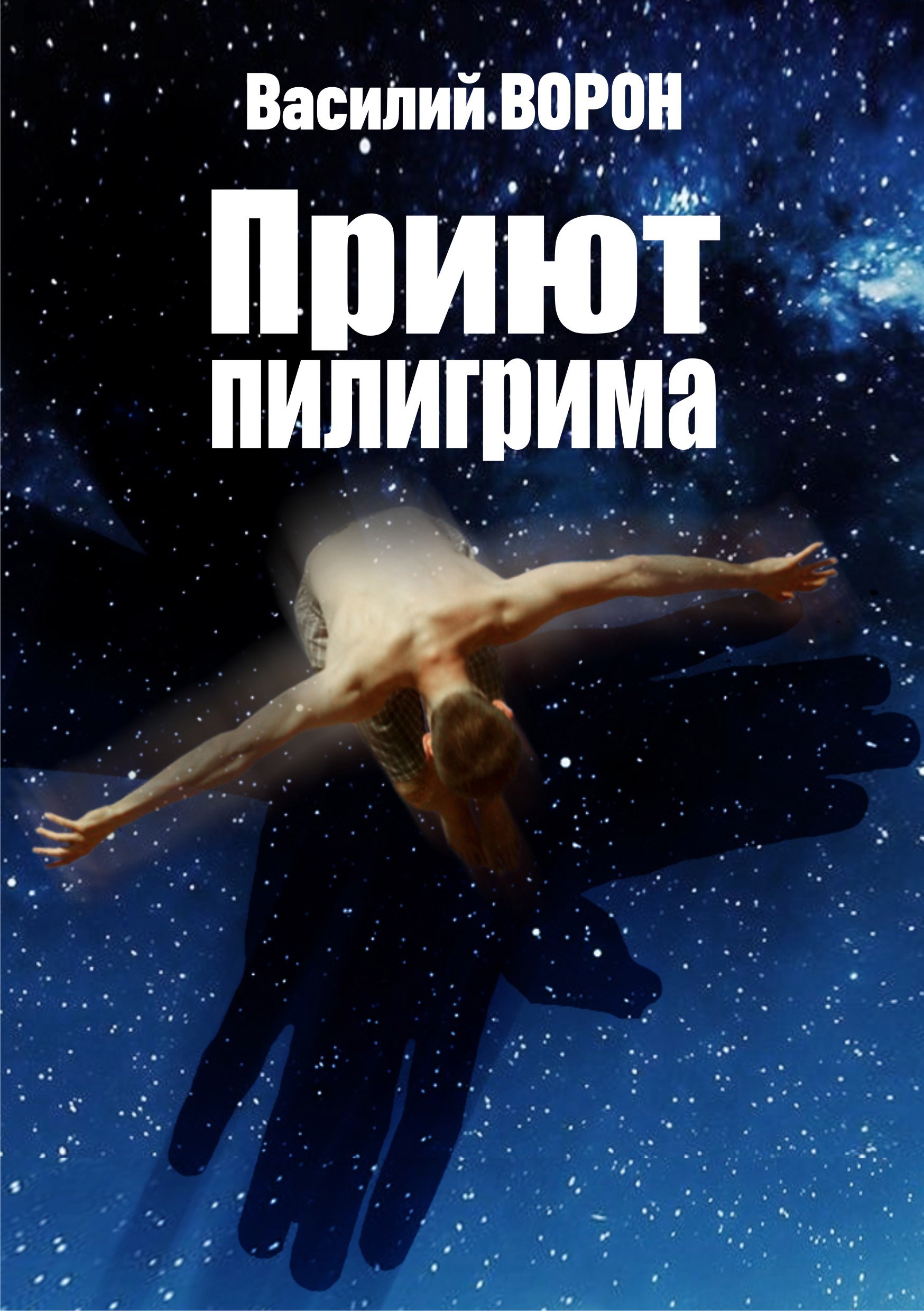 Обложка произведения Приют пилигрима