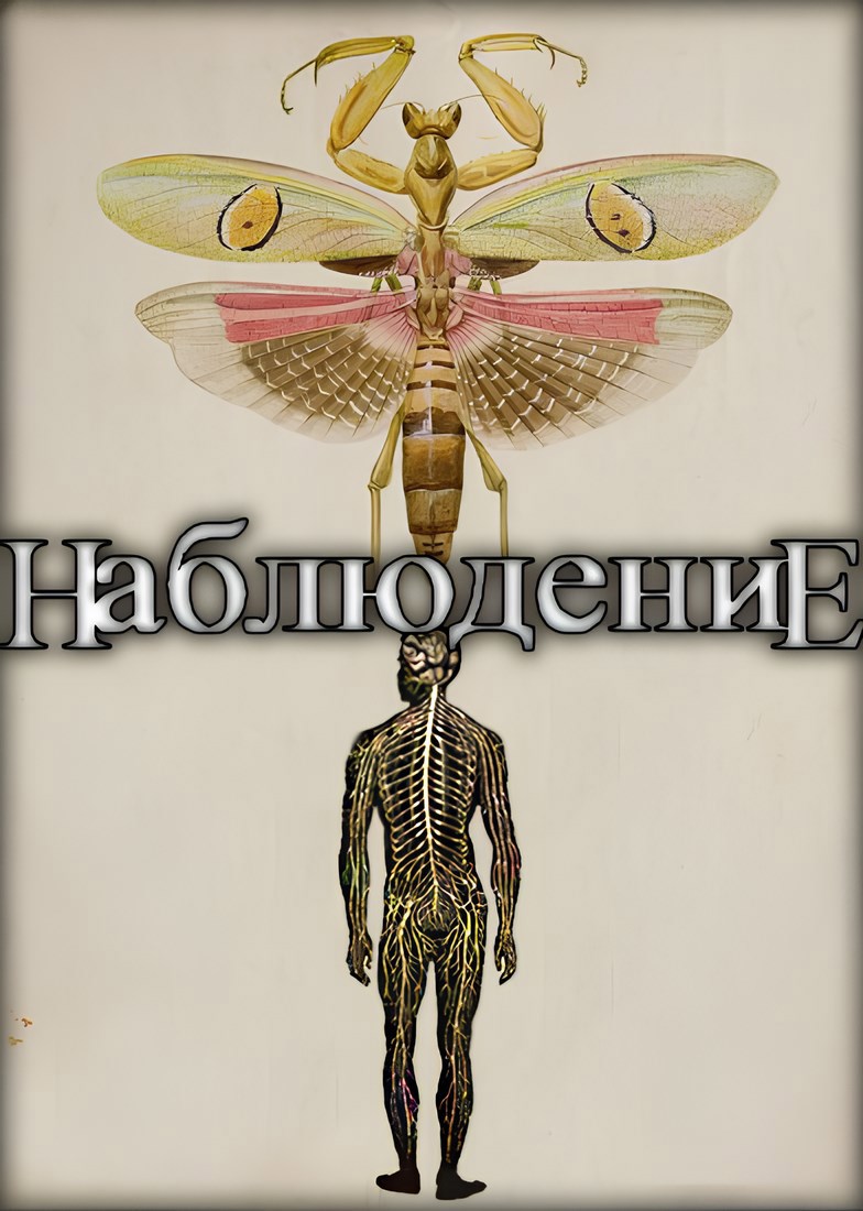 Обложка произведения НаблюдениЕ