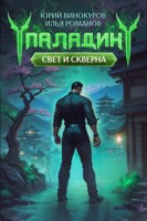 Обложка произведения Паладин. Свет и Скверна IV