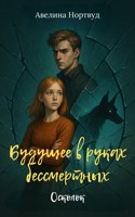 Обложка произведения Будущее в руках бессмертных. Осколок.