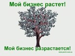 Обложка произведения Как в лесу налоги собирали