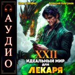 Обложка произведения Идеальный мир для Лекаря 22