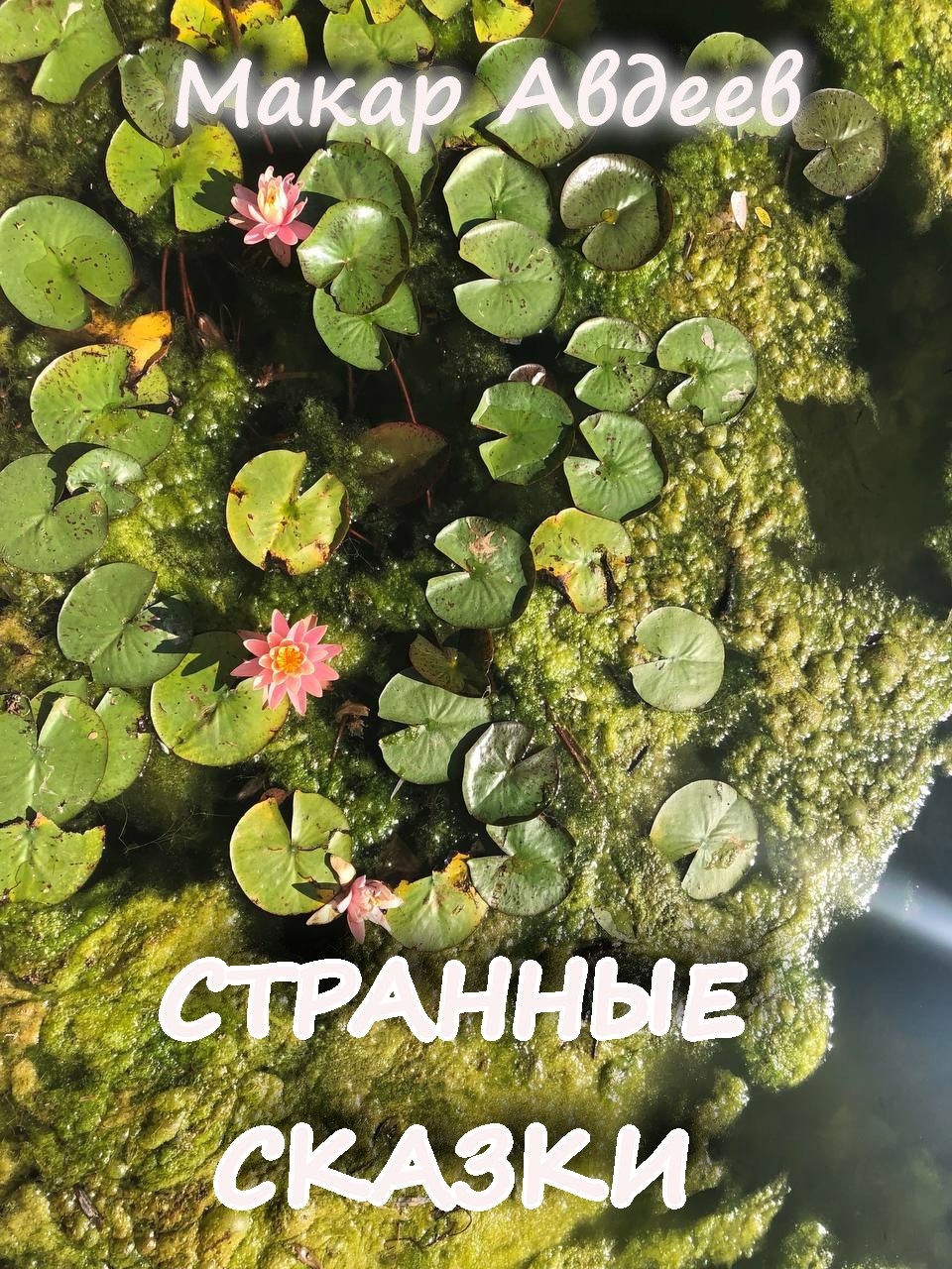 Обложка произведения Странные сказки