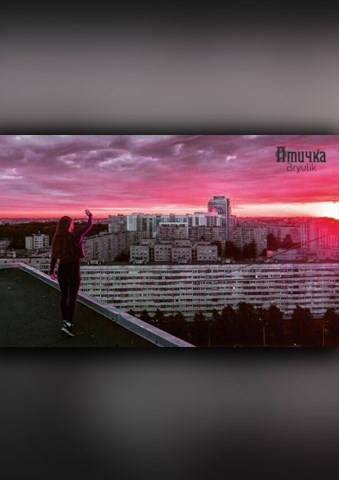 Обложка произведения Птичка