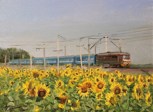 Обложка произведения Сашкино лето. Збурьевка