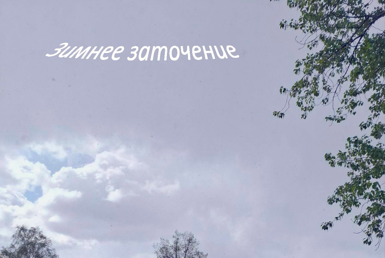 Обложка произведения Зимнее заточение