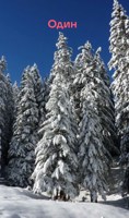 Обложка произведения Один