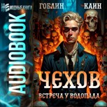 Обложка произведения Чехов Аудиокнига 13. Встреча у водопада