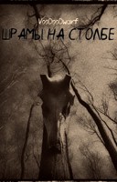 Обложка произведения Шрамы на столбе