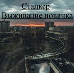 Обложка произведения Сталкер. Выживание новичка