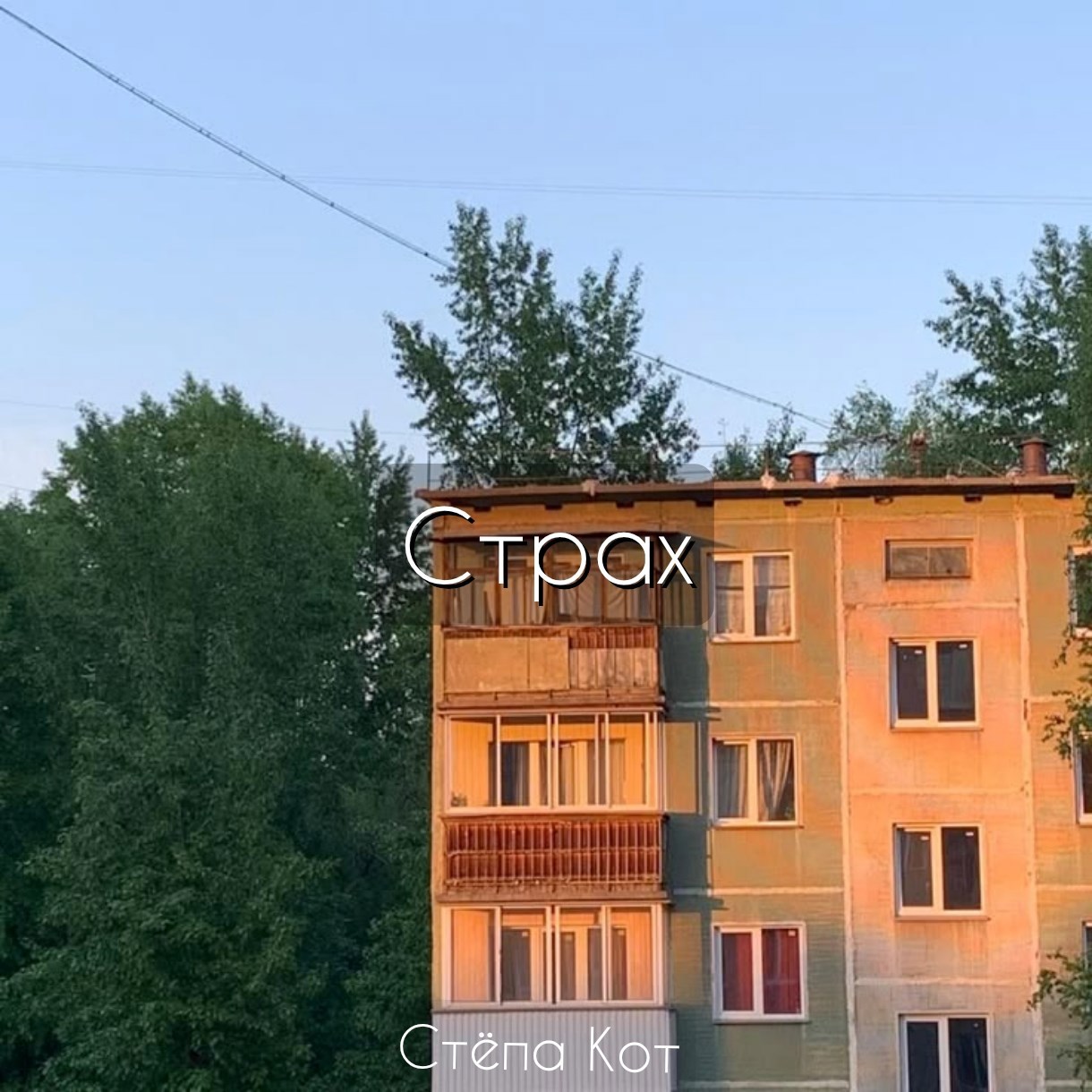 Обложка произведения Страх