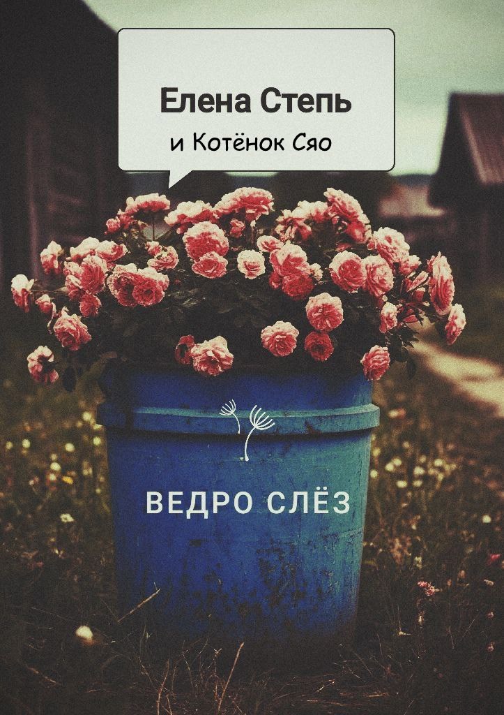 Обложка произведения Ведро слёз