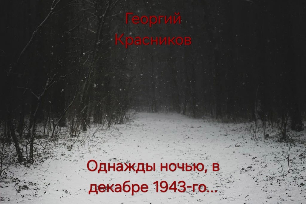 Обложка произведения Однажды ночью, в декабре 1943-го...