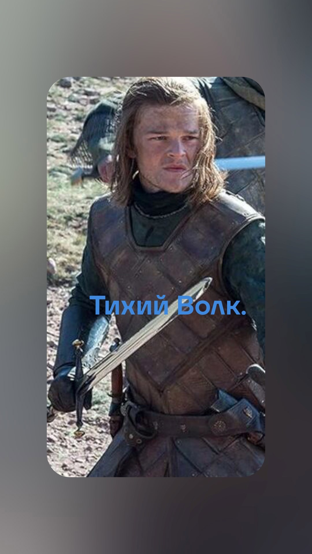 Обложка произведения Тихий Волк