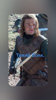 Обложка произведения Тихий Волк