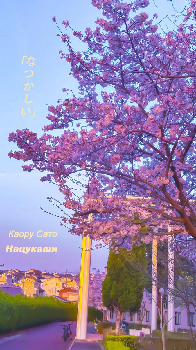 Обложка произведения Нацукаши