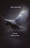 Обложка произведения Эфирные стражи: серый ворон