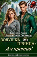 Обложка произведения Золушка для Принца? А я против!
