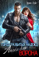 Обложка произведения Город разбитых надежд. Ангел для Ворона