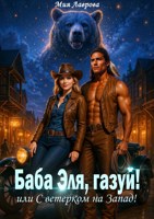 Обложка произведения Баба Эля, газуй! или С ветерком на Запад!
