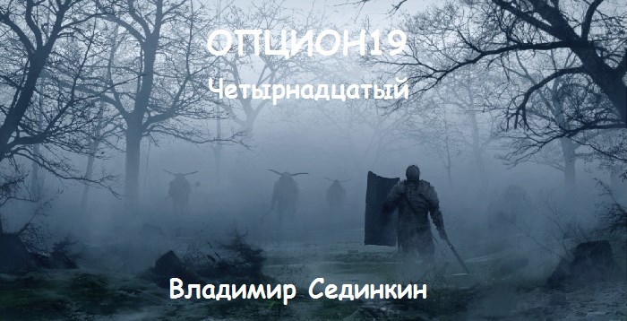 Обложка произведения Опцион19: Четырнадцатый