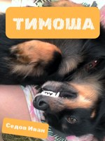 Обложка произведения Тимоша